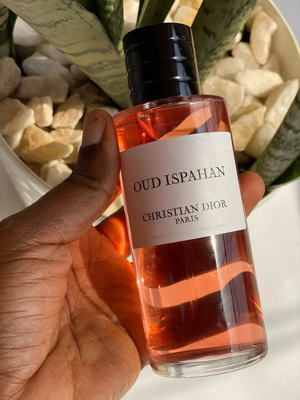 Oud Ispahan - Buy Luxury Perfume Online | Premium Fragrance